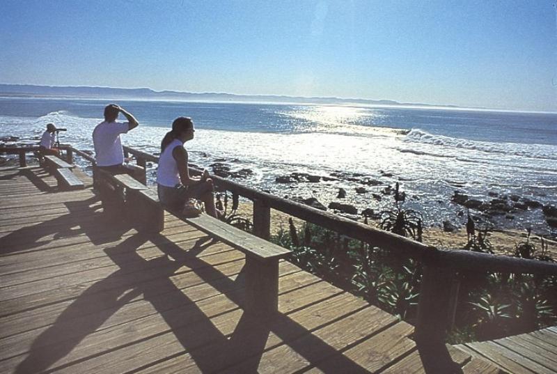 Diaz 15 House On The Bay Hotel Jeffreys Bay Exterior photo